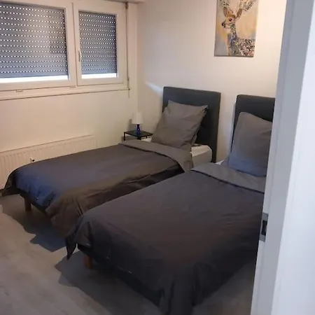 Apartament Super 6 Pers Centre-ville Ideal Strasburg